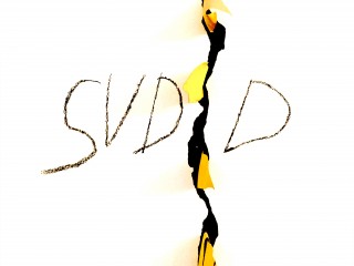 Fondazione SUDD - Logo (2)